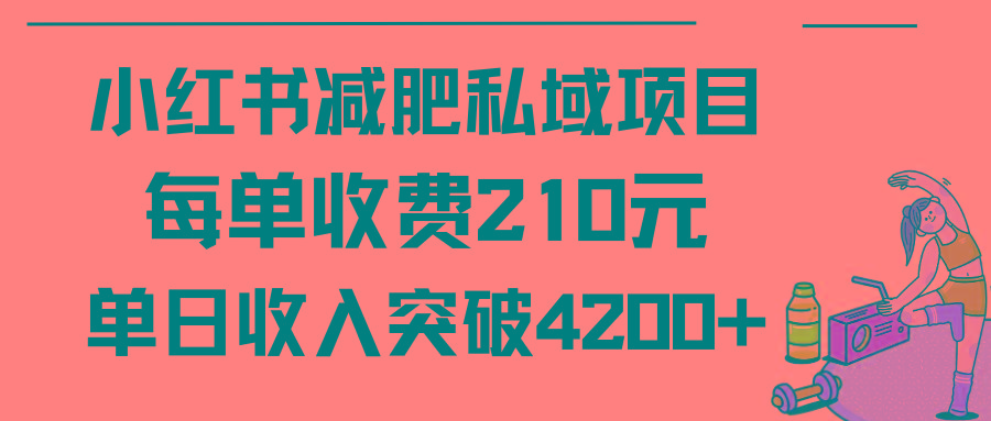 (9466期)小红书减肥私域项目每单收费210元单日成交20单，最高日入4200+-随风资源网