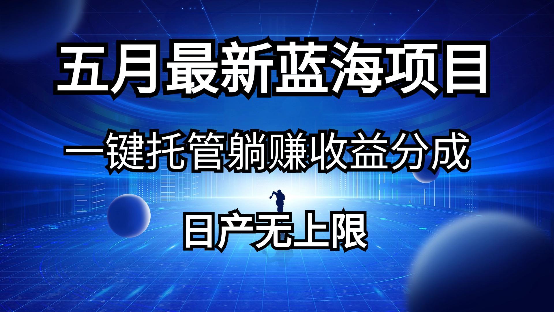 五月刚出最新蓝海项目一键托管 躺赚收益分成 日产无上限-随风资源网