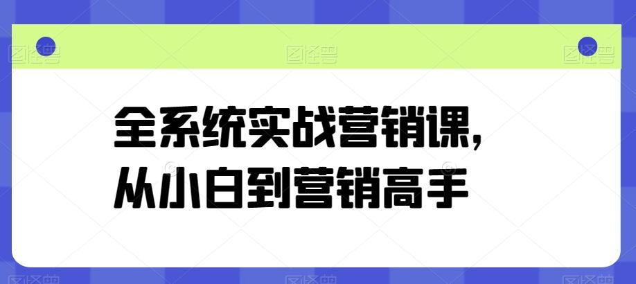 全系统实战营销课，从小白到营销高手-随风资源网