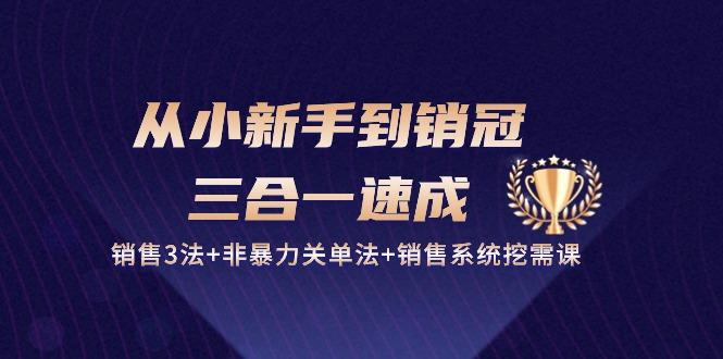 从小新手到销冠 三合一速成：销售3法+非暴力关单法+销售系统挖需课 (27节-随风资源网