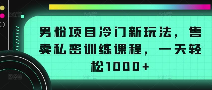 男粉项目冷门新玩法，售卖私密训练课程，一天轻松1000+【揭秘】-随风资源网