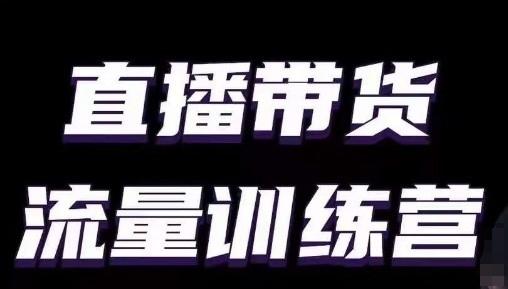 直播带货流量训练营，小白主播必学直播课-随风资源网