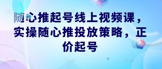 随心推起号线上视频课，实操随心推投放策略，正价起号-随风资源网