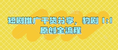 短剧推广干货分享，豹剧 1:1原创全流程-随风资源网