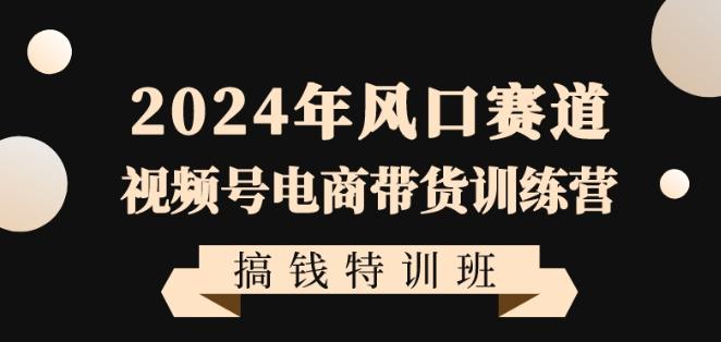 2024年风口赛道视频号电商带货训练营搞钱特训班，带领大家快速入局自媒体电商带货-随风资源网
