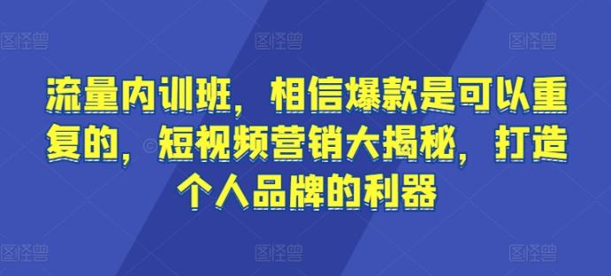 流量内训班，相信爆款是可以重复的，短视频营销大揭秘，打造个人品牌的利器-随风资源网