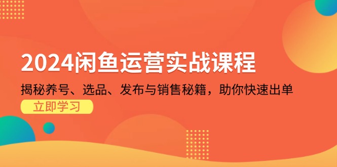 2024闲鱼运营实战课程：揭秘养号、选品、发布与销售秘籍，助你快速出单-随风资源网