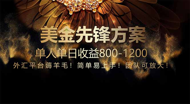 免费技术！小众赛道！一年布局抵三年努力，每日800+-随风资源网
