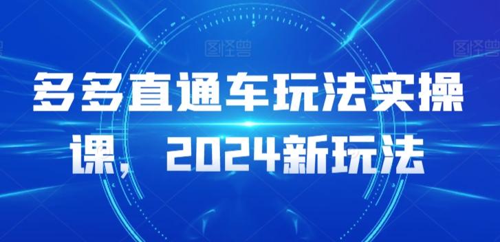多多直通车玩法实操课，2024新玩法-随风资源网