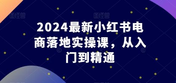 2024最新小红书电商落地实操课，从入门到精通-随风资源网