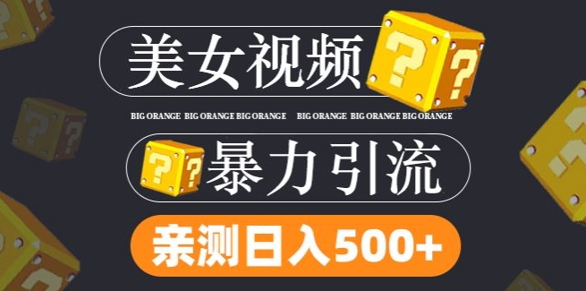 搬运tk美女视频全网分发，日引s粉300+，轻松变现，不限流量不封号【揭秘】-随风资源网