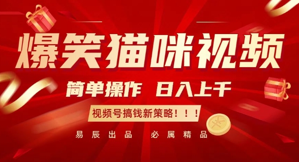 爆笑猫咪视频：简单操作，日入过K，视频号搞钱新策略【揭秘】-随风资源网