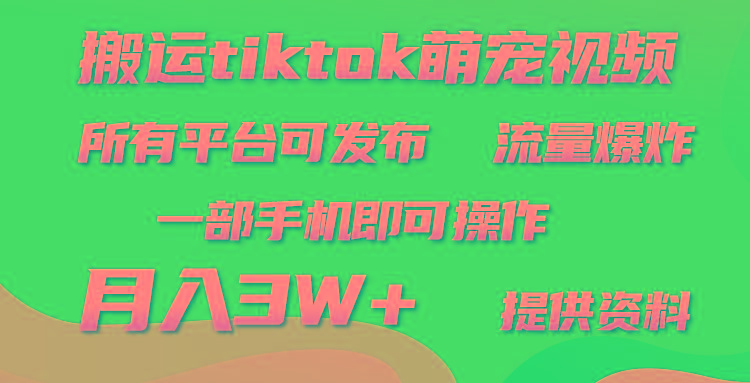 (9618期)搬运Tiktok萌宠类视频，一部手机即可。所有短视频平台均可操作，月入3W+-随风资源网