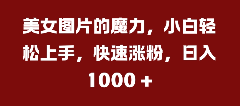 美女图片的魔力，小白轻松上手，快速涨粉，日入几张【揭秘】-随风资源网