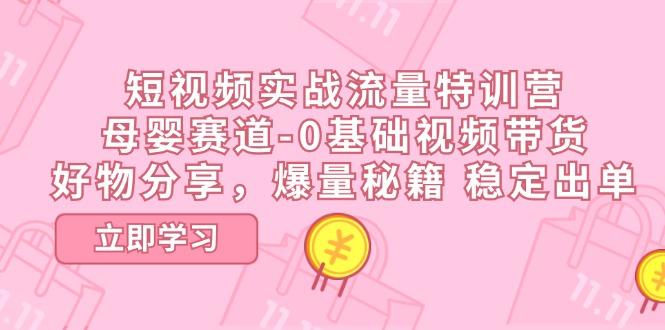 短视频实战流量特训营，母婴赛道-0基础带货，好物分享，爆量秘籍 稳定出单-随风资源网