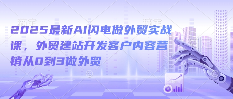 2025最新AI闪电做外贸实战课，外贸建站开发客户内容营销从0到3做外贸-随风资源网