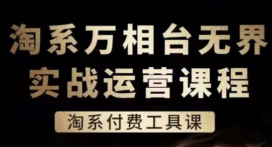 淘系万相台无界实战运营课，淘系付费工具课-随风资源网