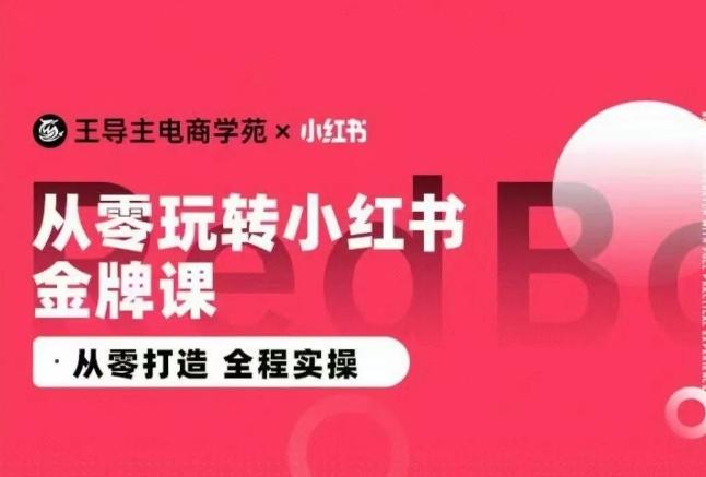 王导主·小红书电商运营实操课，​从零打造  全程实操-随风资源网