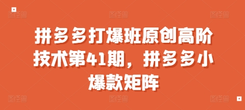 拼多多打爆班原创高阶技术第41期，拼多多小爆款矩阵-随风资源网