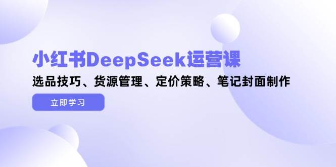 小红书DeepSeek运营课，选品技巧、货源管理、定价策略、笔记封面制作-随风资源网