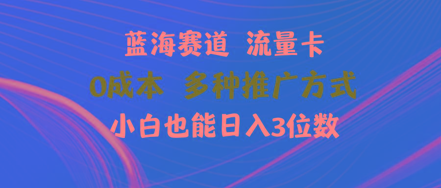 蓝海赛道 流量卡 0成本 小白也能日入三位数-随风资源网