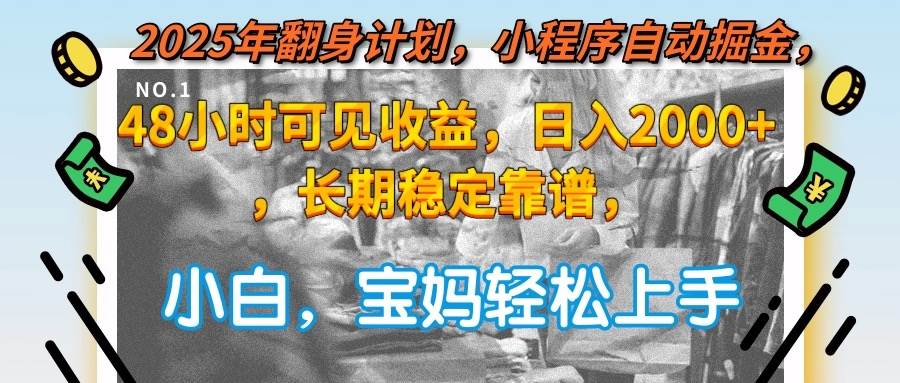 （15082期）2025年翻身计划，小程序自动掘金48小时可见收益，日入2000+，长期稳定…-随风资源网
