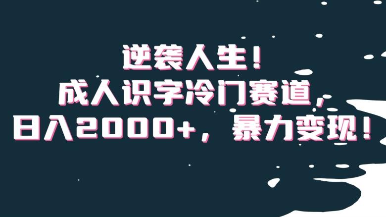 逆袭人生！成人识字冷门赛道，日入2000+，暴力变现！【揭秘】-随风资源网