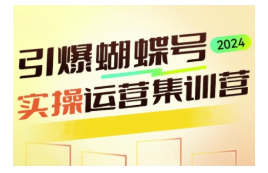 引爆蝴蝶号实操运营，助力你深度掌握蝴蝶号运营，实现高效实操，开启流量变现之路-随风资源网