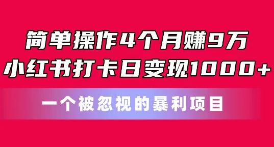 简单操作4个月赚9w，小红书打卡日变现1k，一个被忽视的暴力项目【揭秘】-随风资源网