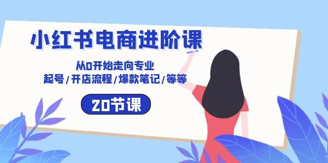 小红书电商进阶课：从0开始走向专业 起号/开店流程/爆款笔记/等等(20节-随风资源网