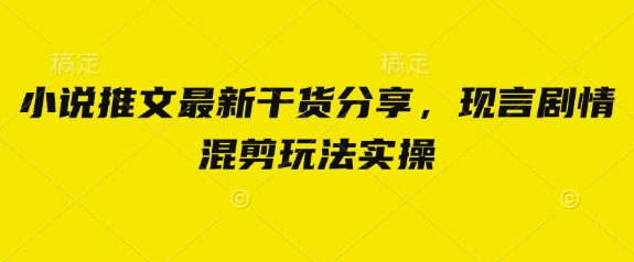 小说推文最新干货分享，现言剧情混剪玩法实操-随风资源网