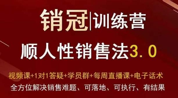 爆款！销冠训练营3.0之顺人性销售法，全方位解决销售难题、可落地、可执行、有结果-随风资源网