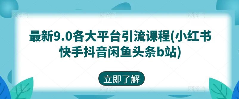 最新9.0各大平台引流课程(小红书快手抖音闲鱼头条b站)-随风资源网