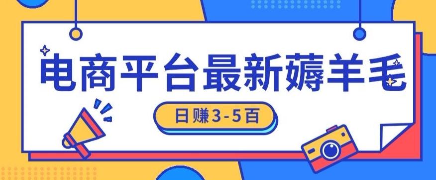 日赚300-500的电商平台薅羊毛新玩法，可重复操作，小白也可简单上手-随风资源网