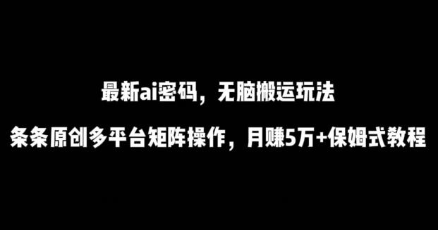 最新ai流量密码，傻瓜式搬运玩法，条条原创，多平台矩阵操作，月赚5万+保姆式教程【揭秘】-随风资源网