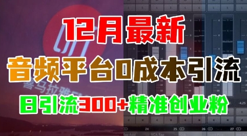 12月最新：音频平台0成本引流，日引流300+精准创业粉-随风资源网