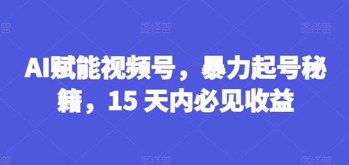 AI赋能视频号，暴力起号秘籍，15 天内必见收益【揭秘】-随风资源网
