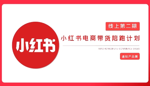 2025小红书虚拟电商实战课，从0到1打造无货源店铺，AI+爆款笔记轻松变现-随风资源网