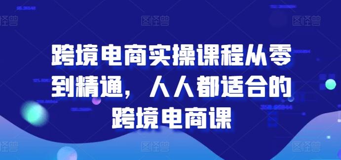 跨境电商实操课程从零到精通，人人都适合的跨境电商课-随风资源网