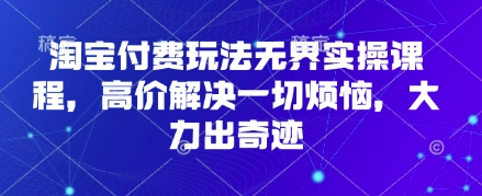 淘宝付费玩法无界实操课程，高价解决一切烦恼，大力出奇迹-随风资源网