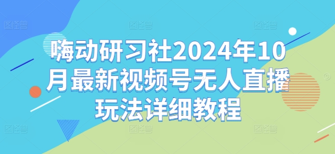 嗨动研习社2024年10月最新视频号无人直播玩法详细教程-随风资源网