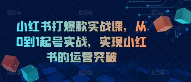 小红书打爆款实战课，从0到1起号实战，实现小红书的运营突破-随风资源网