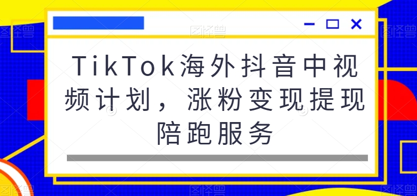 TikTok海外抖音中视频计划，涨粉变现提现陪跑服务-随风资源网