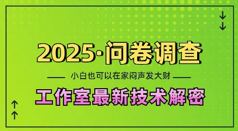 2025问卷调查最新工作室技术解密：一个人在家也可以闷声发大财，小白一天2张，可矩阵放大【揭秘】-随风资源网