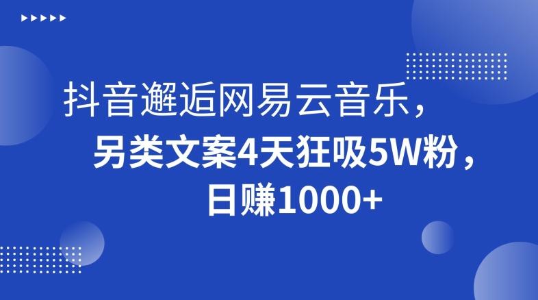 抖音邂逅网易云音乐，另类文案4天狂吸5W粉，日赚1000+【揭秘】-随风资源网