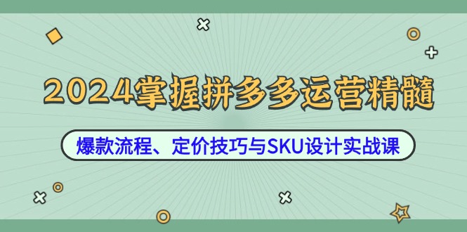 2024掌握拼多多运营精髓：爆款流程、定价技巧与SKU设计实战课-随风资源网