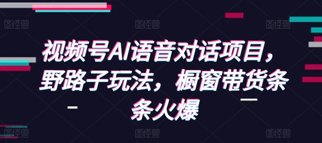 视频号AI语音对话项目，野路子玩法，橱窗带货条条火爆-随风资源网