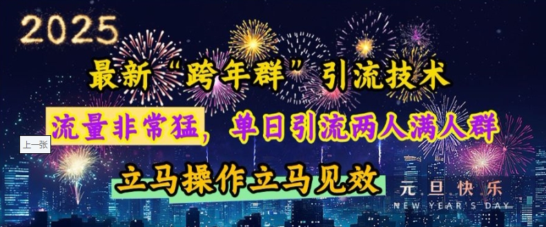 最新“跨年群”引流，流量非常猛，单日引流两人满人群，立马操作立马见效【揭秘】-随风资源网