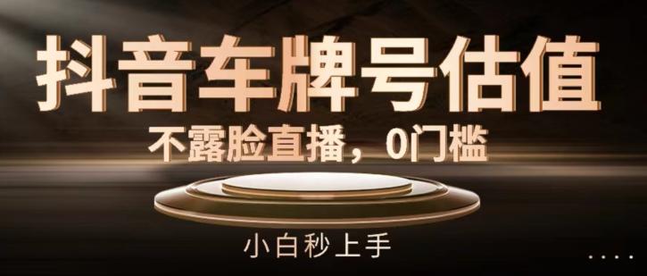 抖音车牌号估值，不露脸直播，0门槛，小白秒上手【揭秘】-随风资源网