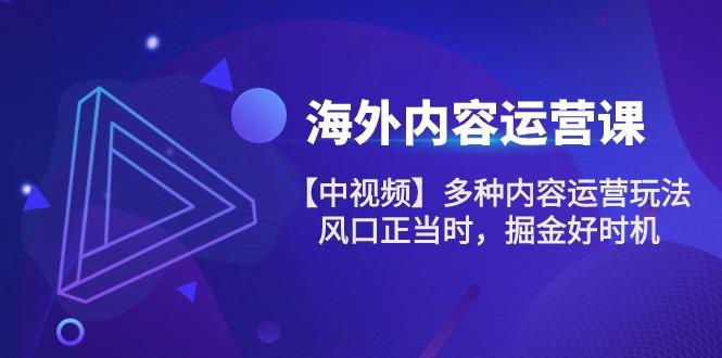 海外内容 运营课【中视频】多种内容运营玩法 风口正当时 掘金好时机-101节-随风资源网